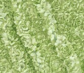 Green 3d embroidered petals