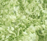 Green 3d embroidered petals