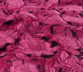 Fuxia jacquard floral fil coup